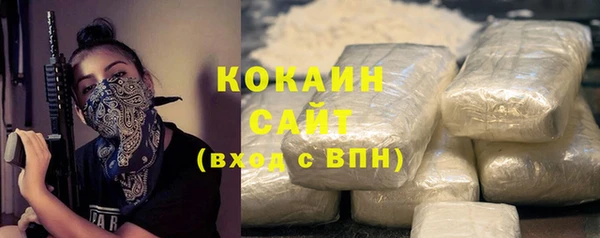 дмт Абаза