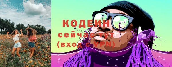 дмт Абаза