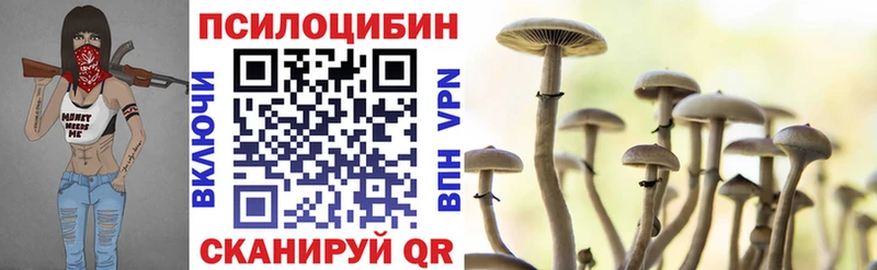 где купить наркотик  Новочебоксарск  Псилоцибиновые грибы прущие грибы 